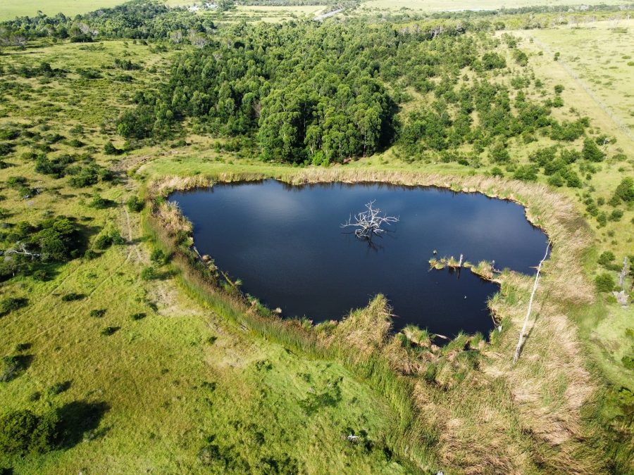 3 Bedroom Property for Sale in Kidds Beach Eastern Cape